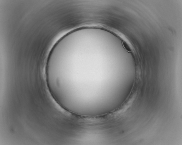 X0000112390959200909032011