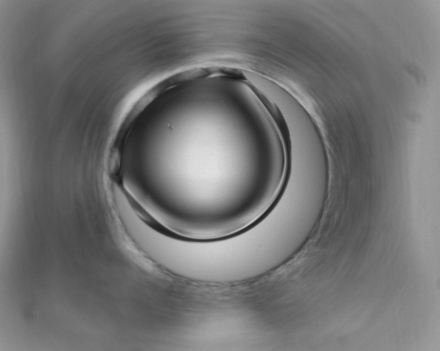 X0000112390960200909032011