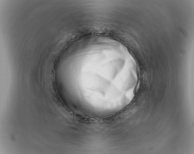 X0000112390961200909032010