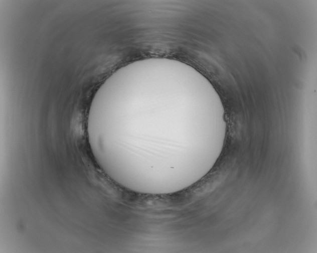 X0000112390962200909032010