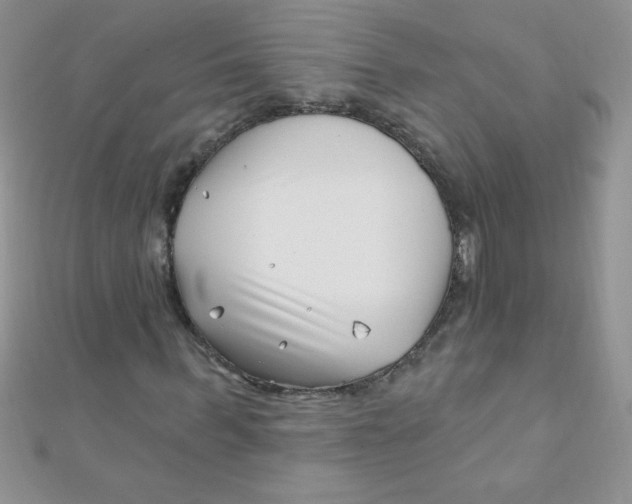 X0000112390963200909032010