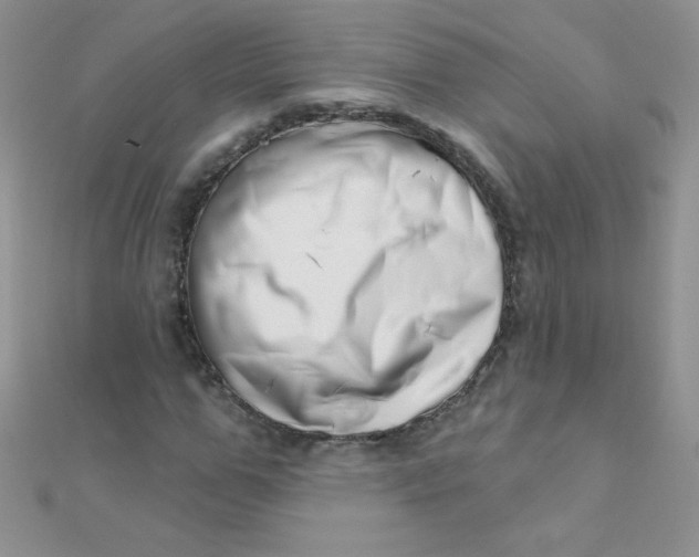 X0000112390967200909032010