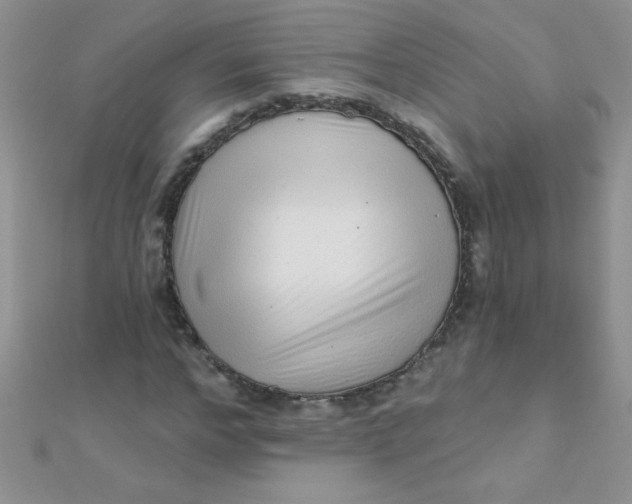 X0000112390968200909032010