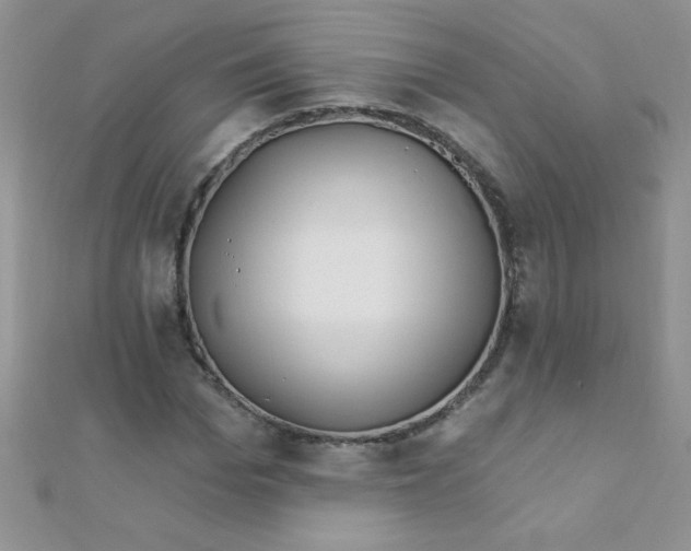 X0000112390969200909032010