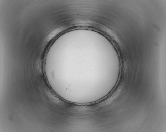 X0000112390970200909032010