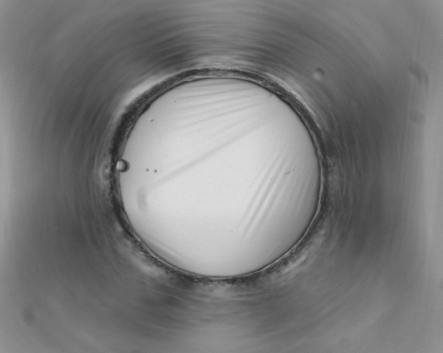 X0000112390971200909032010