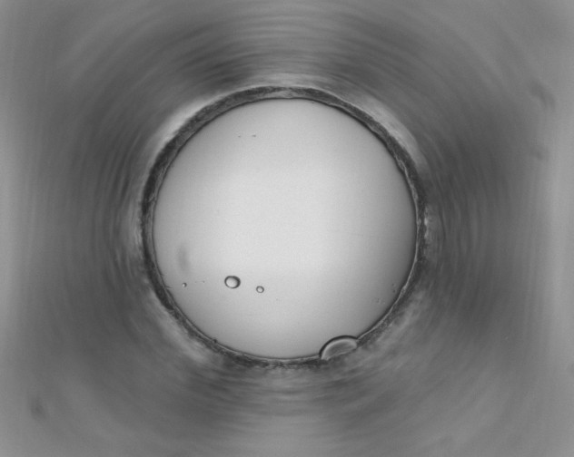 X0000112390972200909032010