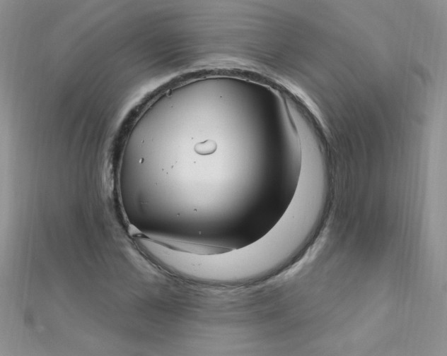 X0000112390973200909032010