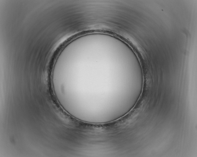 X0000112390975200909032010