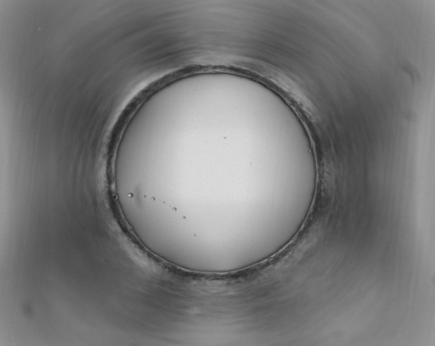 X0000112390976200909032010