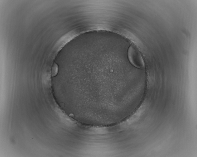 X0000112390977200909032010