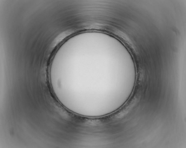 X0000112390978200909032010