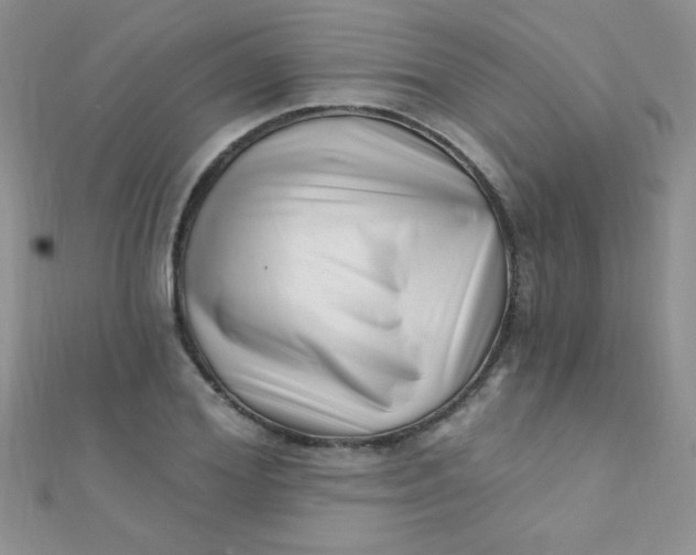 X0000112390980200909032010