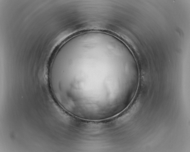 X0000112390981200909032010