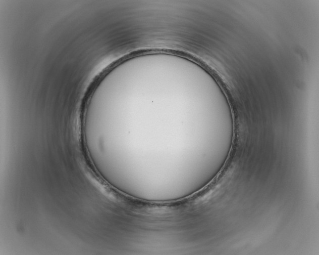 X0000112390982200909032010