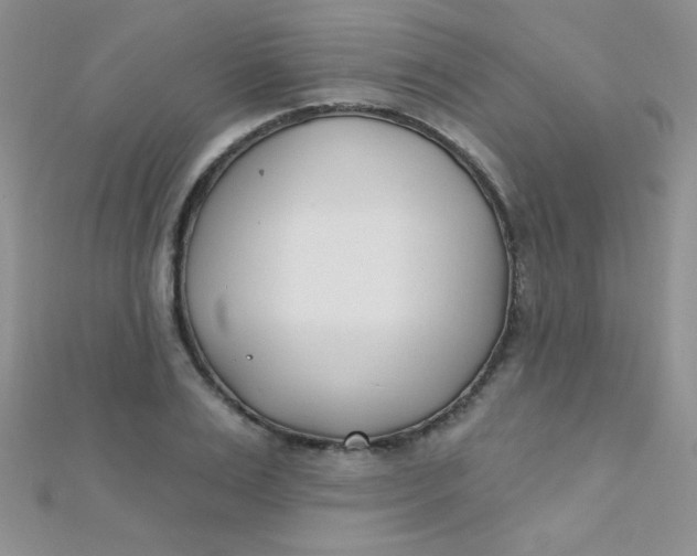 X0000112390983200909032010