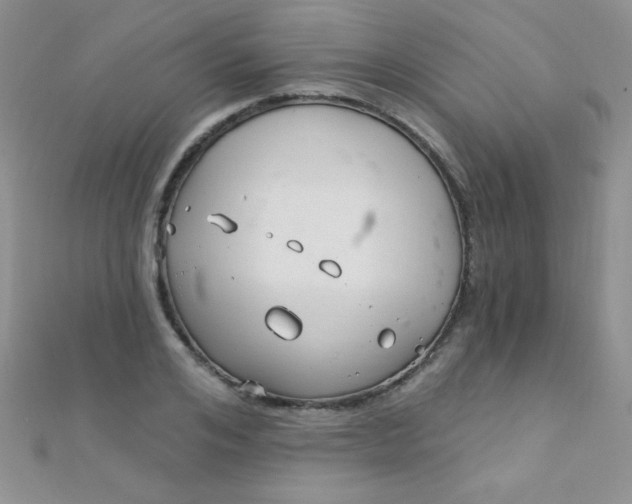 X0000112390984200909032010