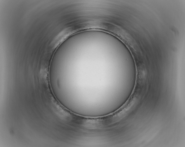 X0000112390985200909032010