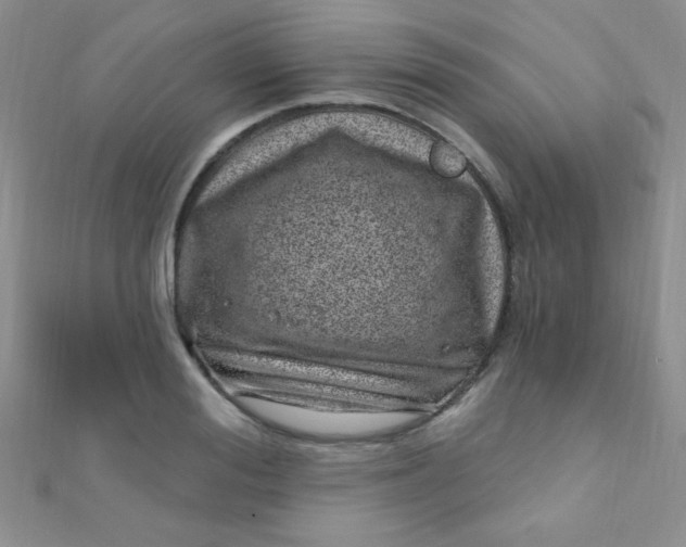 X0000112390988200909032010