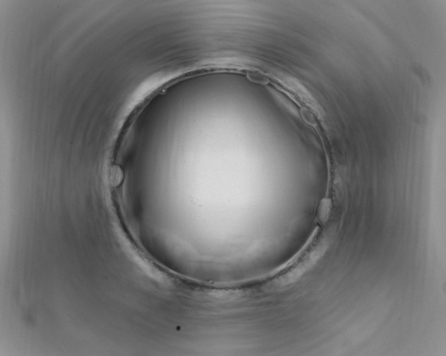 X0000112390989200909032010