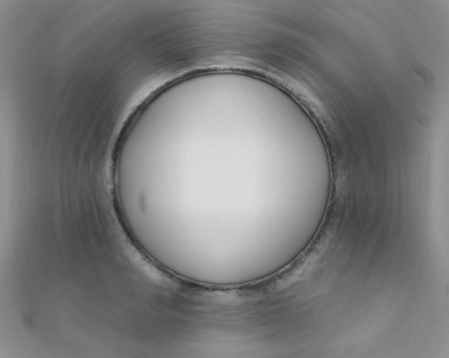 X0000112390990200909032010