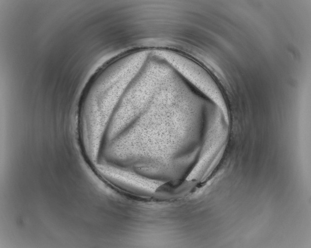 X0000112390992200909032010