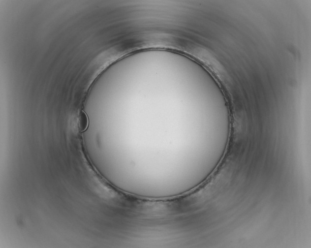 X0000112390993200909032010