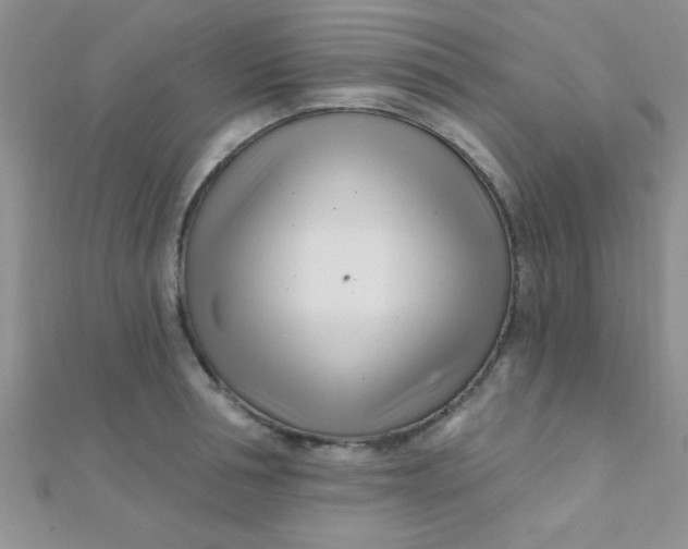 X0000112390994200909032010