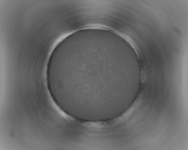 X0000112390995200909032010