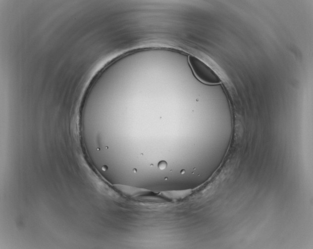 X0000112390996200909032010