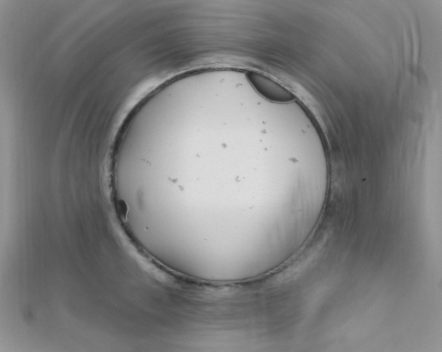 X0000112390997200909032010