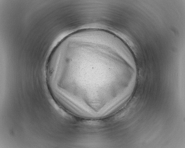 X0000112390998200909032010