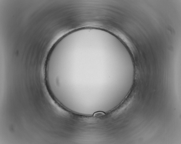 X0000112390999200909032010