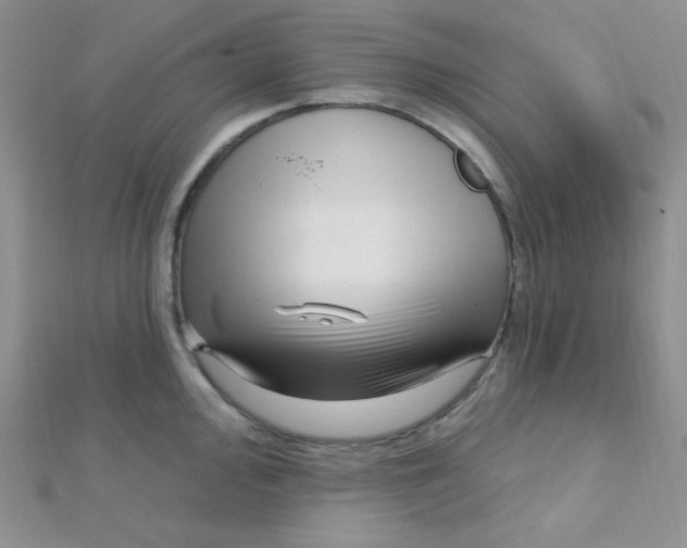 X0000112391000200909032010