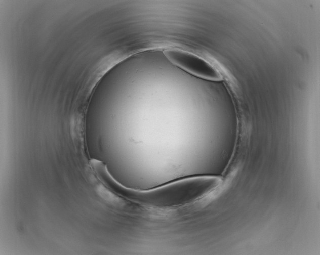 X0000112391001200909032010