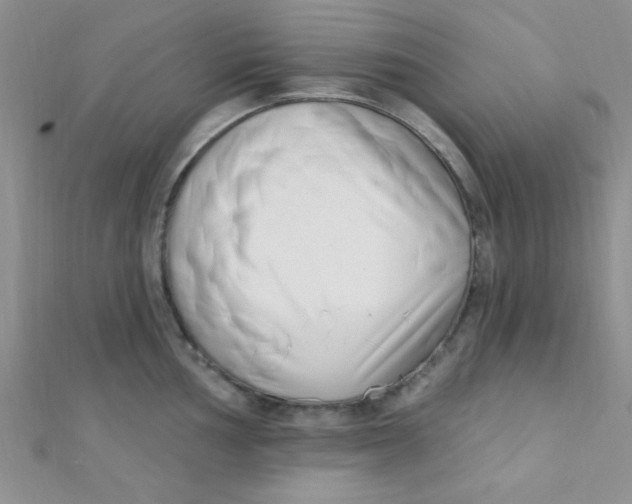 X0000112391002200909032010