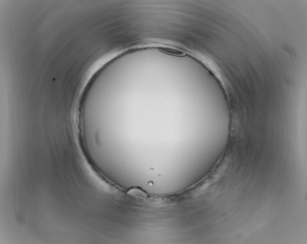 X0000112391003200909032010