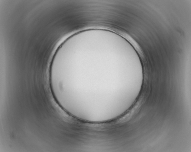 X0000112391004200909032010