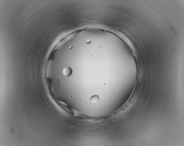 X0000112391005200909032010