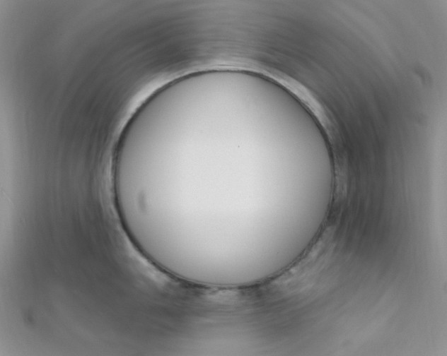 X0000112391006200909032010