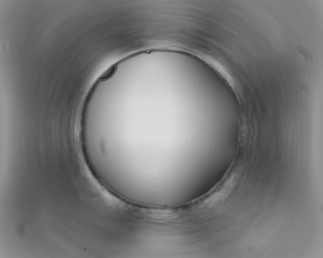 X0000112391007200909032010