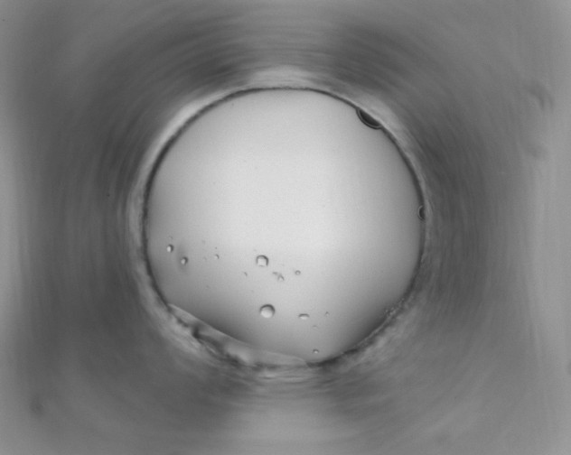 X0000112391008200909032010