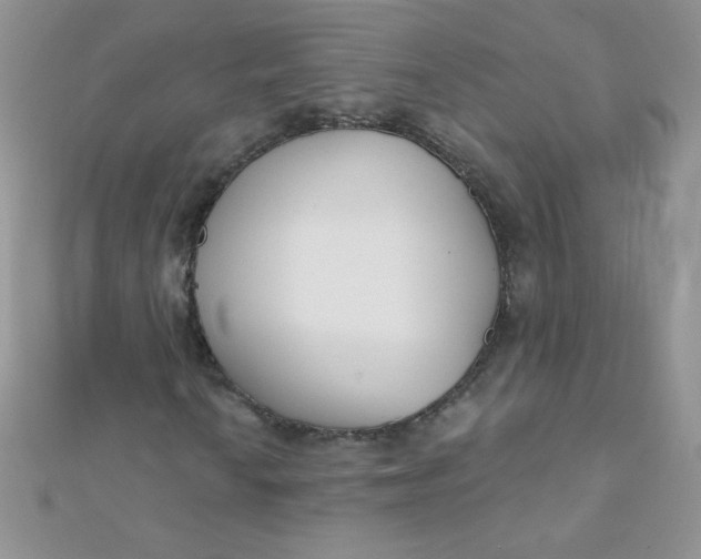 X0000112391010200909032009