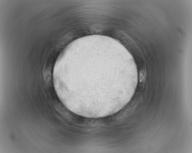 X0000112391011200909032009