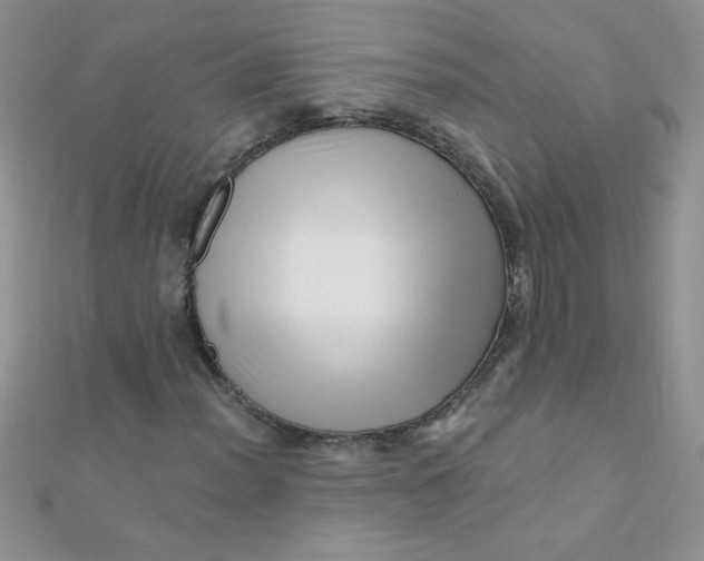 X0000112391012200909032009