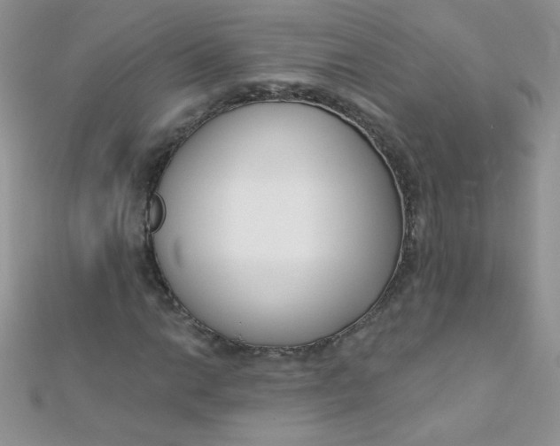 X0000112391014200909032009