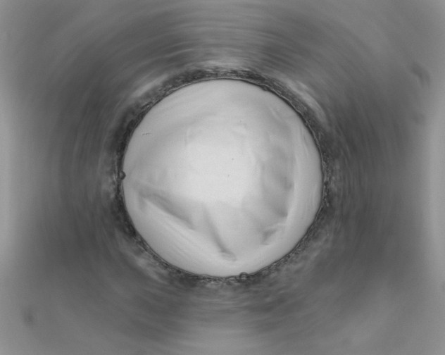 X0000112391015200909032009