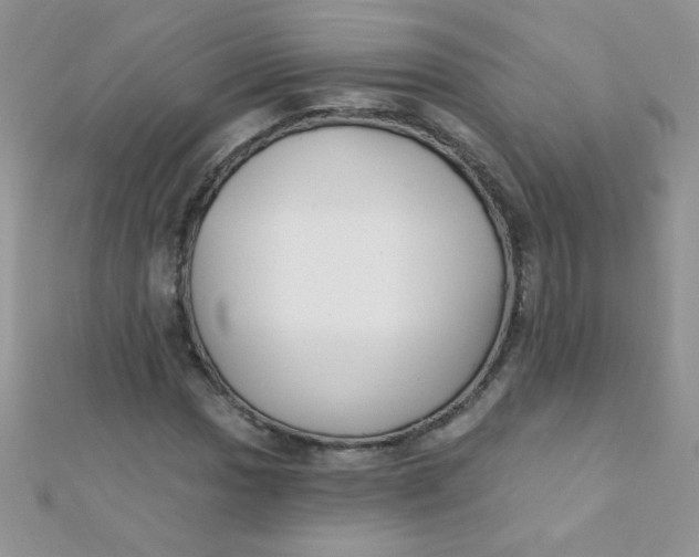 X0000112391017200909032009