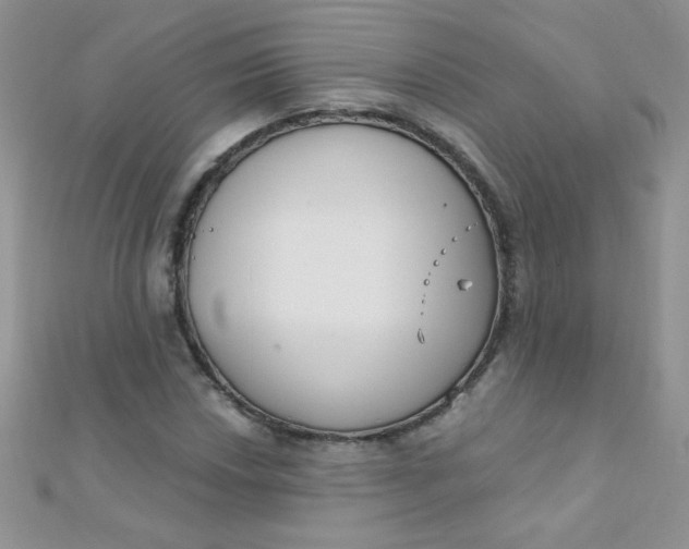 X0000112391018200909032009