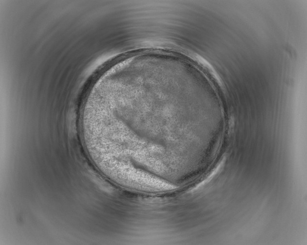 X0000112391019200909032009